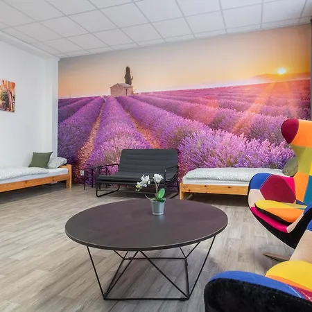 招待所 Driving Camp Autodrom Sosnova